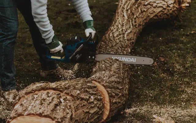 Tree service worker cutting a fallen tree trunk with a chainsaw
