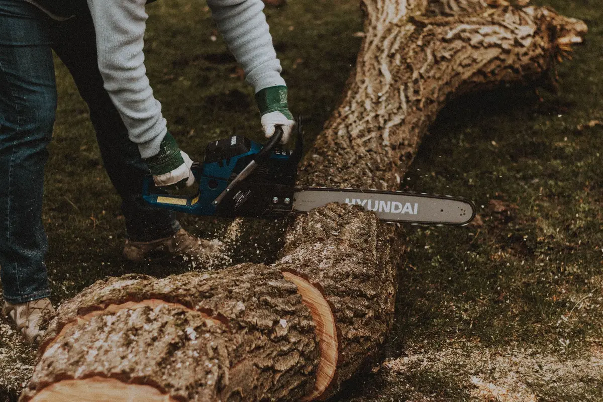 Worker cutting a fallen tree trunk with a chainsaw
